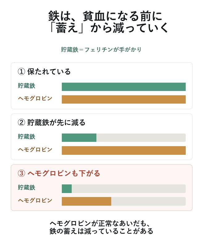 鉄は、貧血になる前に「蓄え」から減っていく